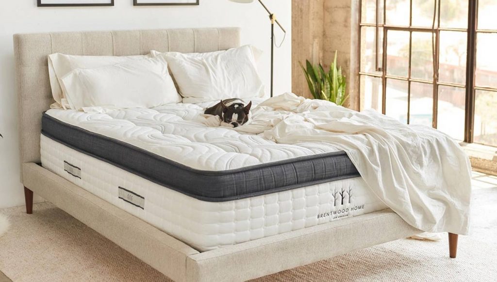 sleep therapy bamboo mattress